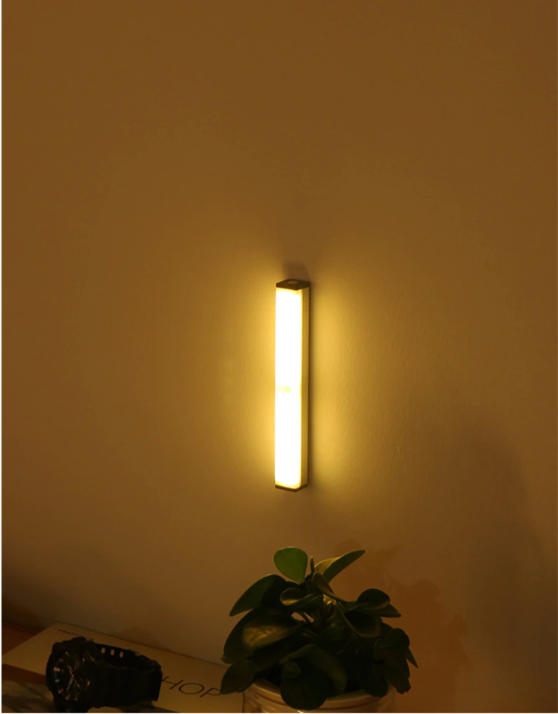 LED Motion Sensor Light